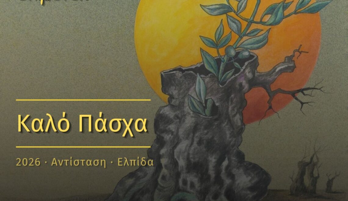 IMG 05a8d2322d3f68536a1f4afd0fa0052b V