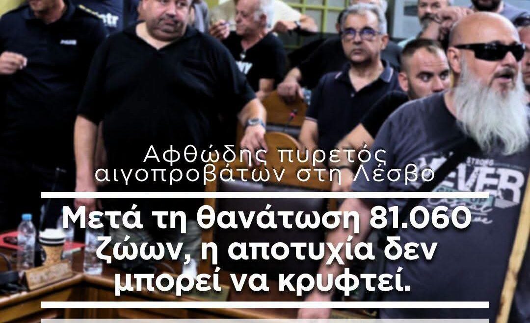 FB IMG 1788002819041